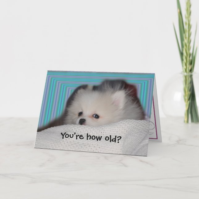 Lustige Welpen-Geburtstags-Karte Karte (Vorderseite)