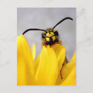Lustige Wespen-Postkarte Postkarte