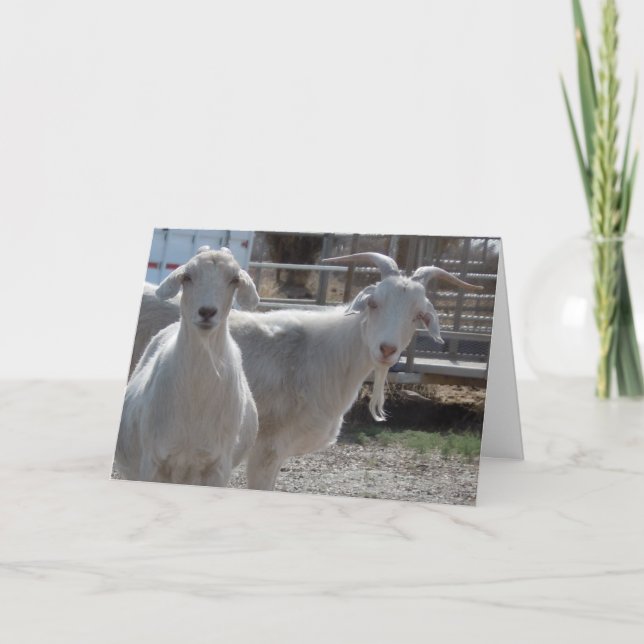 Lustige Western-Glückwunsch-Ziege Karte (Vorderseite)