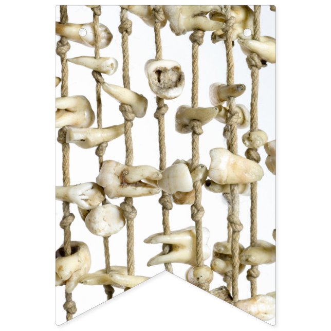 Lustige zahnmedizinische Fotografie extrahierter Wimpelkette (Erste Fahne)