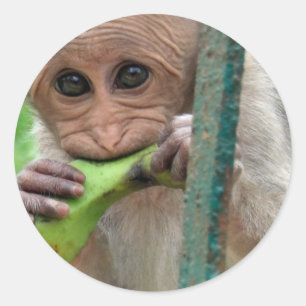 Lustiger Affe-Bild-Aufkleber Runder Aufkleber