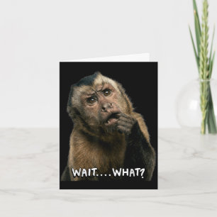 Lustiger Affe Slang Zitat wart was Meme süß Karte