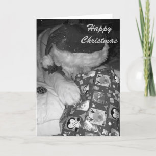 lustiger Akita-Hund mit Feiertagskarte