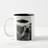 Lustiger Alien-UFO-Hund-Selfie - Coole Katze & Wel