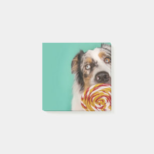 Lustiger Australian Shepherd Hund mit Lolli Post-it Klebezettel