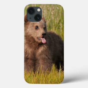Lustiger Baby-Bär Getty Bild- Case-Mate iPhone Hülle