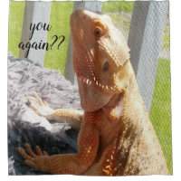 Lustiger bärtiger Drache-Foto-Druck