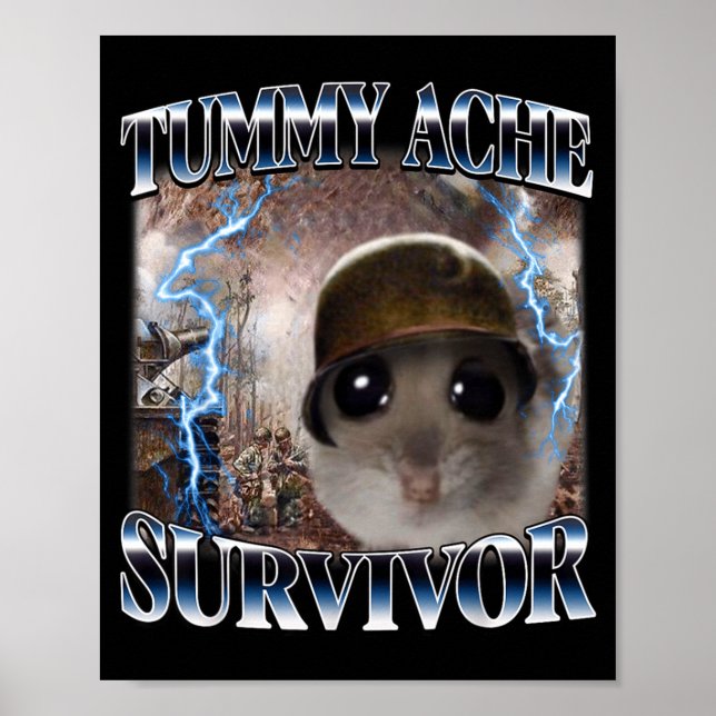 Lustiger Bauchschmerz-Überlebender Hamster Meme Poster (Vorne)