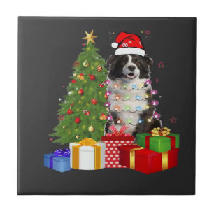 Lustiger Border Collie Weihnachtsbaum Frohe Weihna Fliese