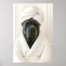 Lustiger Cane Corso Badezimmerdruck, Cane Corso In