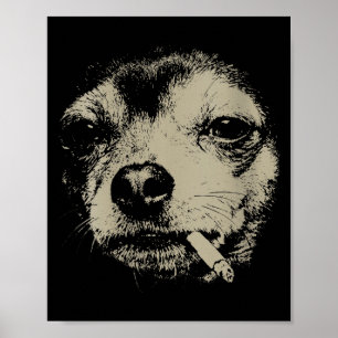 Lustiger Chihuahua-Meme einer Frau, die eine Zigar Poster