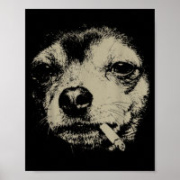 Lustiger Chihuahua-Meme Hund raucht Zigarette