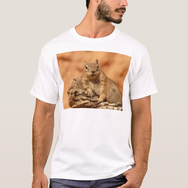 Lustiger Chipmunk, der auf einem Felsen liegt T-Shirt (Vorderseite)