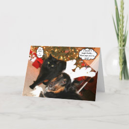 Lustiger Collie-u. schwarze Katzen-Weihnachtskarte Feiertagskarte