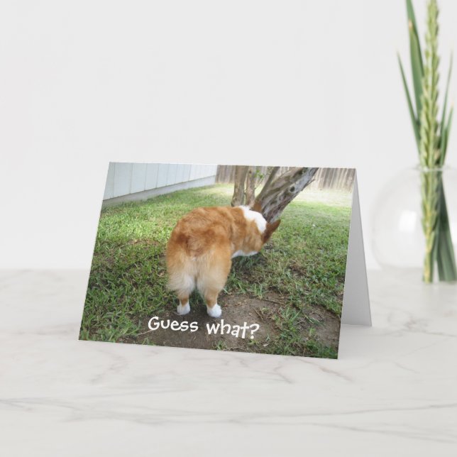 Lustiger Corgi Karte (Vorderseite)