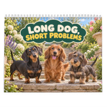 Lustiger Dachshund Lange Hunde Kurze Probleme