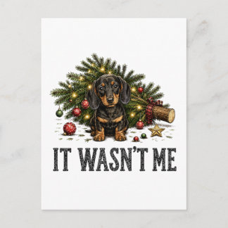 Lustiger Dachshund Weihnachten Es war nicht ich Einladungspostkarte