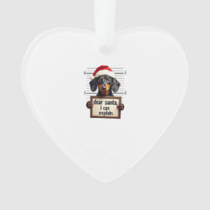 Lustiger Dachshund Weihnachten Lieber Santa Ich Ka Ornament