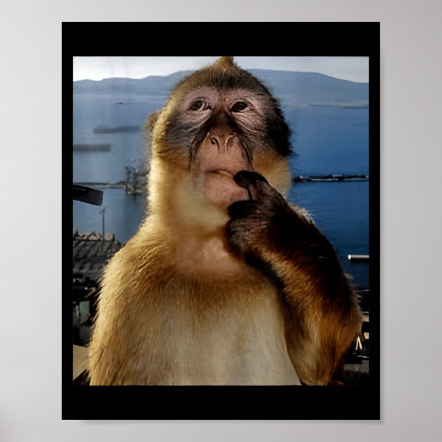Lustiger denkender Affe Meme neugieriger Affe Brai Poster (Vorne)