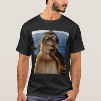 Lustiger denkender Affe Meme neugieriger Affe Brai