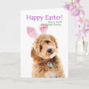 Lustiger Doodle-Hund Ostern Karte