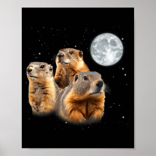 Lustiger Drei Murmeltier Mond Murmeltiertag Poster