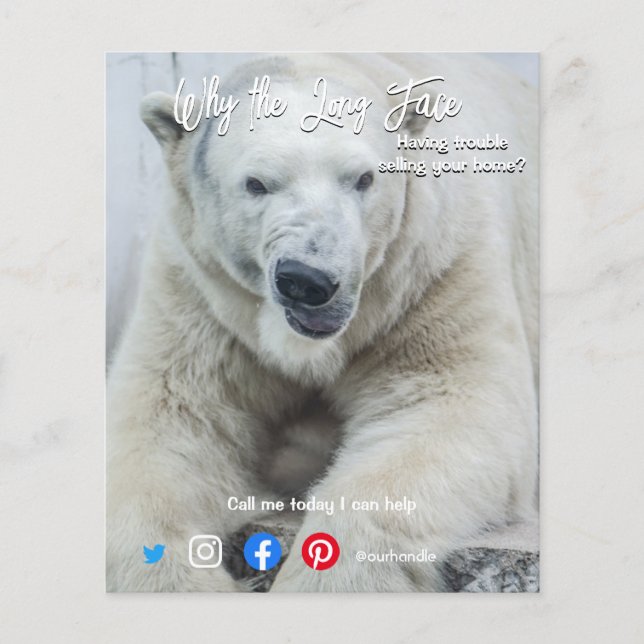 lustiger echter Anwesen auf der Postkarte Weißbär Flyer (Vorne)