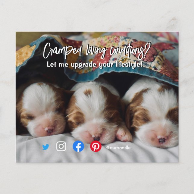 lustiger echter Anwesen Postkarte verkrampfter leb Flyer (Vorne)