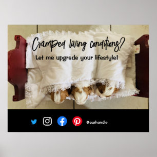 lustiger echter Anwesen Postkarte verkrampfter leb Poster