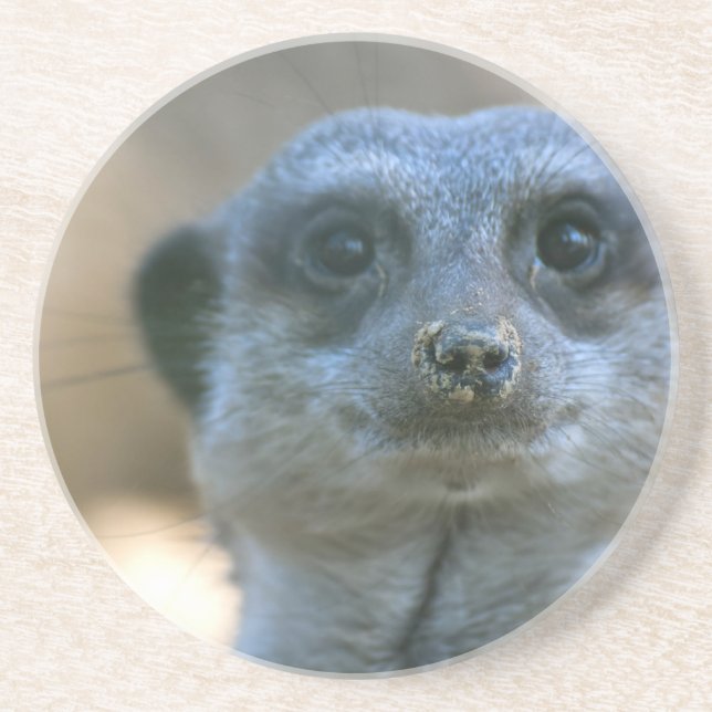 Lustiger Erdmännchen Sandstein Untersetzer (Vorne)