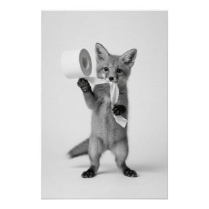 Lustiger Fuchs hält Toilettenpapier Minimalistisch Poster