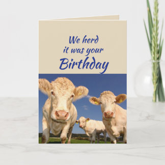 Lustiger Geburtstag von der Gruppe Kuh Tier Humor Karte