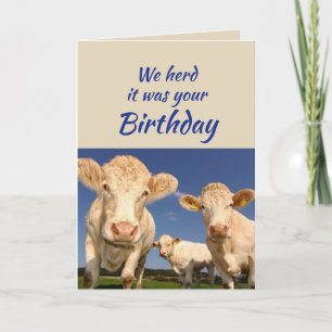 Lustiger Geburtstag von der Gruppe Kuh Tier Humor Karte