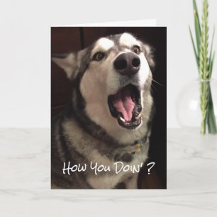 Lustiger Gedanke an dich Alaskan Malamute Hund Fot Karte