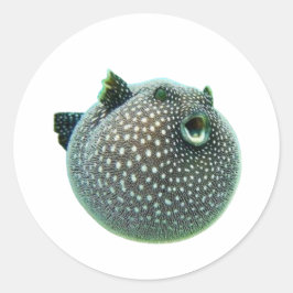 Lustiger gefleckter Kugelfisch-Sticker - Blowfish Runder Aufkleber