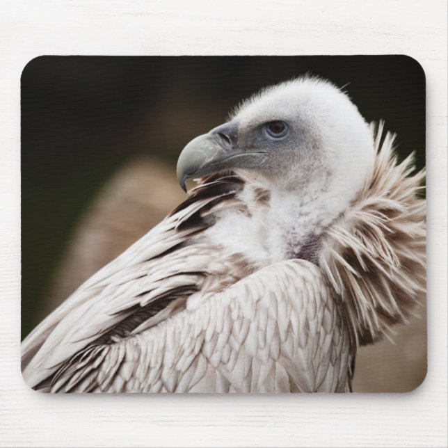 Lustiger Geier-Vogel Mousepad (Vorne)
