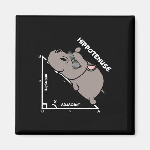 Lustiger Geometrie-Hypotenuse-Mathematik-Lehrer Magnet