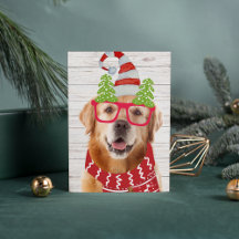 Lustiger Golden Retriever Weihnachtsbrille Hut Sch