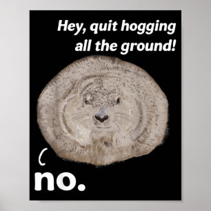 Lustiger Groundhog-Witz Groundhog Day Woodchuck-Zi Poster
