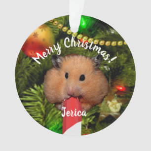 Lustiger Hamster, der Weihnachtsmann-Ornament isst Ornament