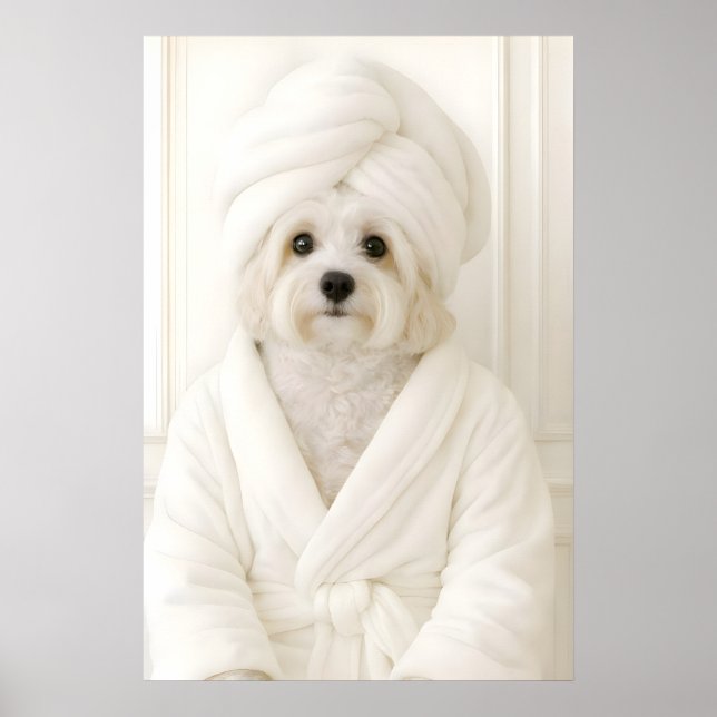 Lustiger Havanese-Badezimmerdruck, Havanese In Poster (Vorne)