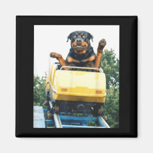 Lustiger Hund Achterbahn Meme Alberne Grafik Magnet