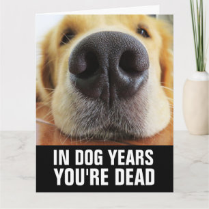 LUSTIGER HUND GEBURTSTAG HUND GEBURTSTAGSKARTE KARTE