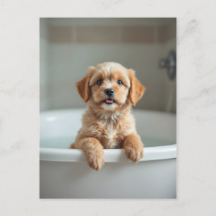 Lustiger Hund im Badezimmer Postkarte