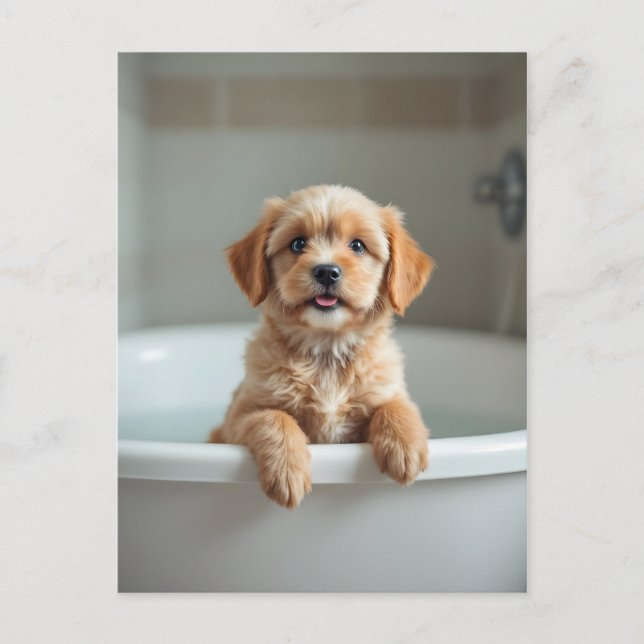 Lustiger Hund im Badezimmer Postkarte (Vorderseite)