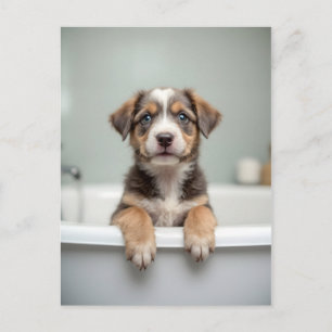 Lustiger Hund im Badezimmer Postkarte