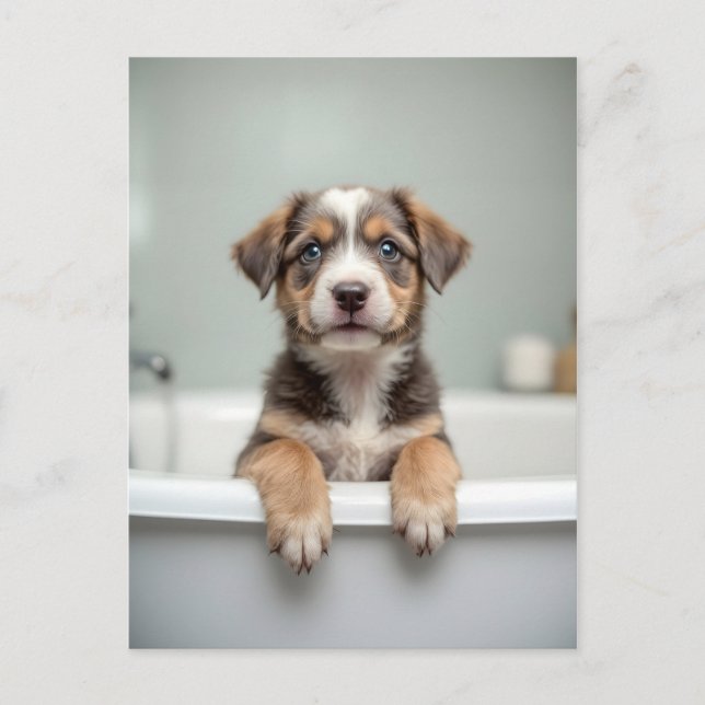 Lustiger Hund im Badezimmer Postkarte (Vorderseite)
