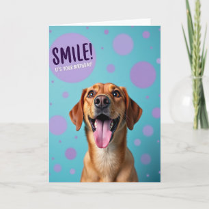 Lustiger Hund mit Punkten zum Geburtstag Karte