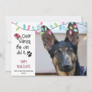 Lustiger Hund sagt   Pastell-Lichter   Foto Feiertagskarte