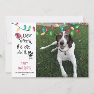 Lustiger Hund sagt Weihnachtsbeleuchtung Foto Hund Feiertagskarte